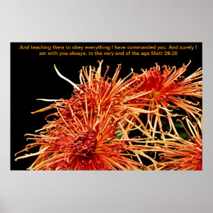 Póster Enseñándoles a obedecer todo lo que he mandado.