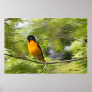 Póster Ensueño de los Baltimore Orioles