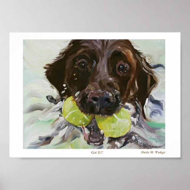 Póster ¡¡Entendido!! (Frente)