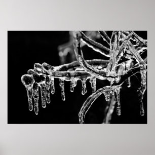 Póster enter icy winter