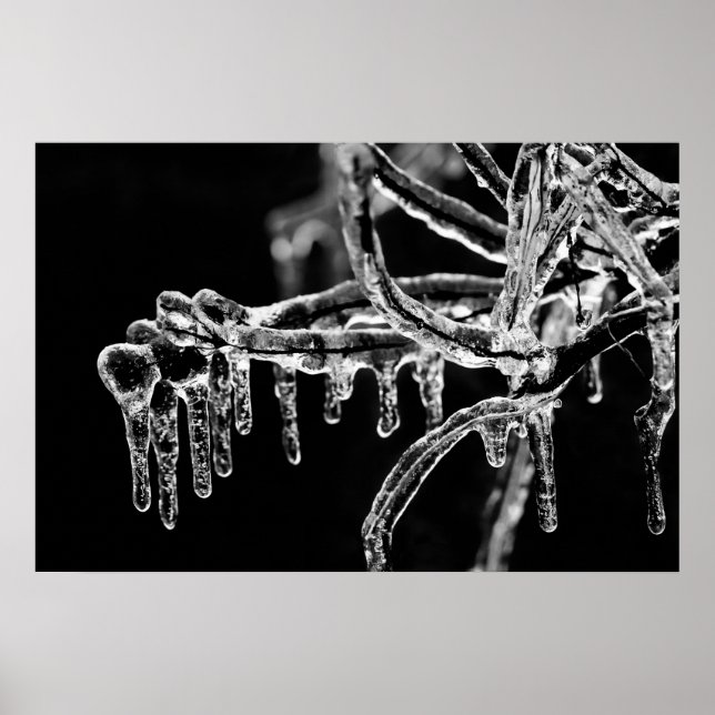 Póster enter icy winter (Frente)