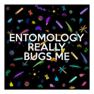 Póster ENTOMOLOGÍA REALMENTE ME FASTIDIA Chiste científic