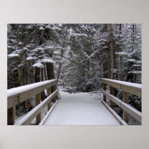 Póster Entra - Nueva escena de Nieve de Hampshire