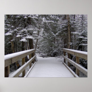 Póster Entra - Nueva escena de Nieve de Hampshire