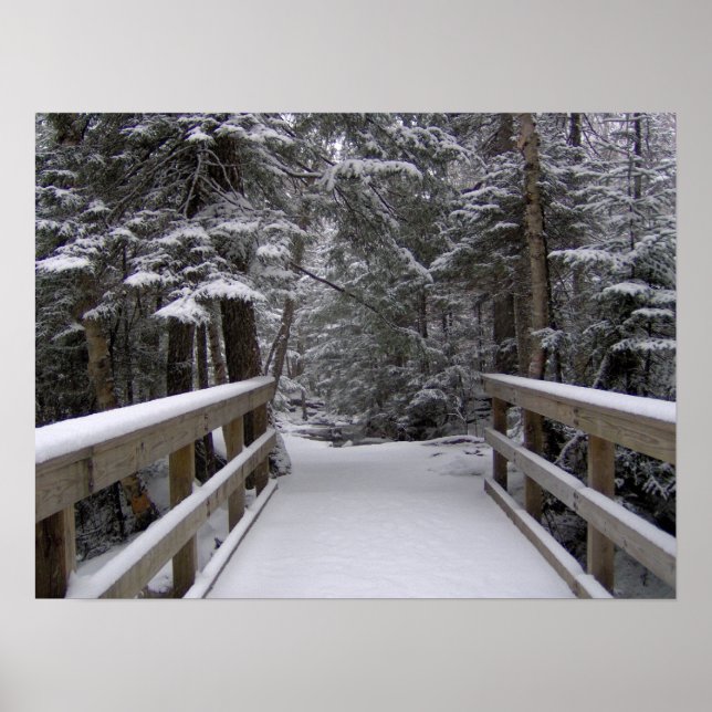 Póster Entra - Nueva escena de Nieve de Hampshire (Frente)