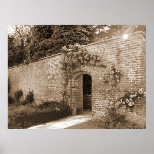 Póster Entrada color de rosa del arco