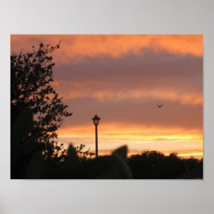 Póster Entrada de lámpara y pájaro