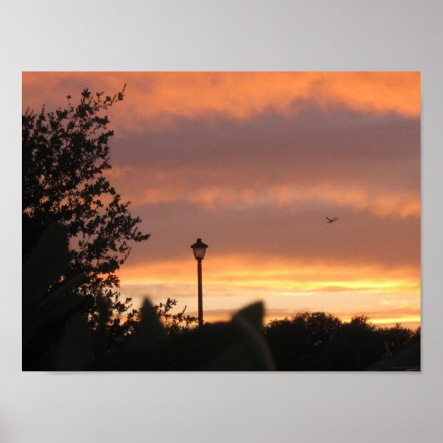 Póster Entrada de lámpara y pájaro (Frente)