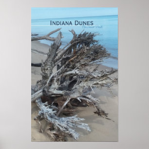Póster Entrada de Magnet del Parque Nacional Dunas de Ind