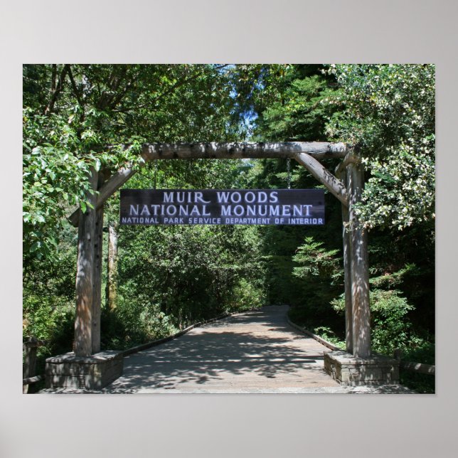 Póster "Entrada Muir Woods" (Frente)