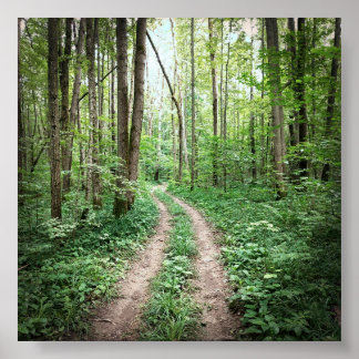 Póster Entrando en el bosque