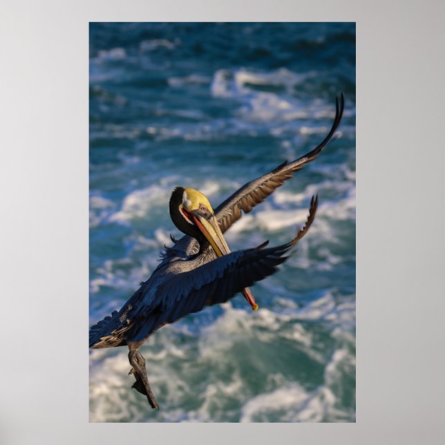 Póster Entrando para un aterrizaje (Frente)