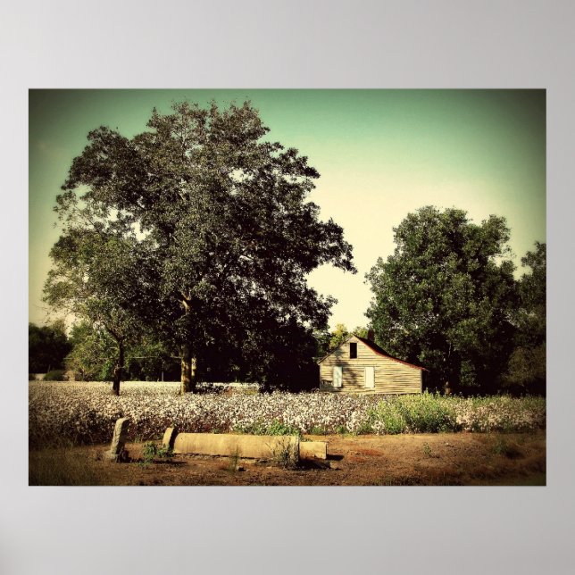 Póster Entre el algodón (Frente)