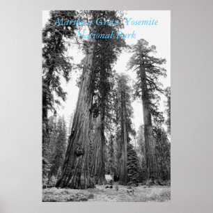 Póster Entre el poster de Giants