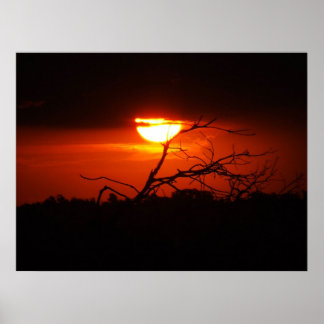 Póster Entre el Poster de la oscuridad