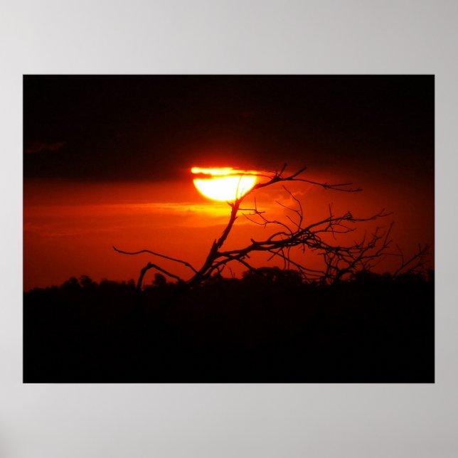 Póster Entre el Poster de la oscuridad (Frente)