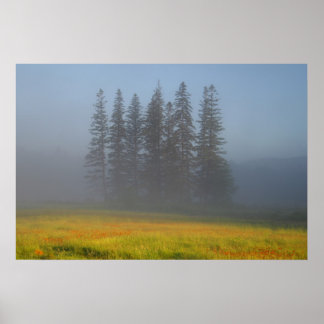 Póster Entre la neblina