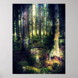 Póster Entre las hadas