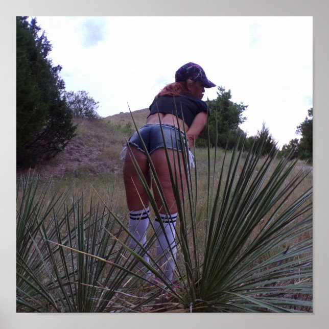 Póster Entre las plantas de Yucca (Frente)