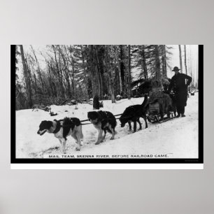 Póster Entrega de correo por un equipo de perros de 1905