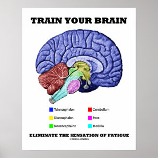 Póster Entrena Tu Cerebro Para Eliminar La Sensación De F