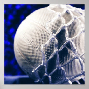 Póster Entrenador de Voleibol y Equipo de Red