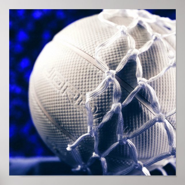 Póster Entrenador de Voleibol y Equipo de Red (Frente)