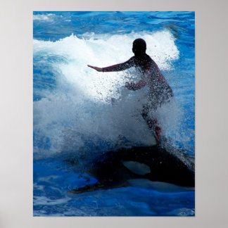 Póster Entrenador montando en una fotografía de orcas de 