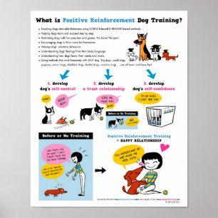 Póster Entrenamiento de perros de refuerzo positivo de 16
