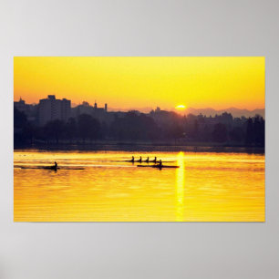 Póster Entrenamiento del Rowing en la puesta del sol