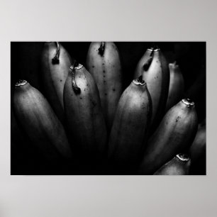 Póster entretenido grupo