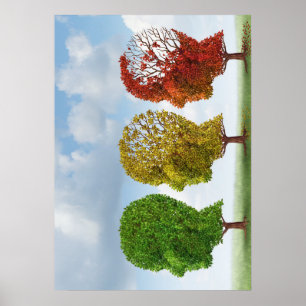 Póster Envejecimiento del cerebro