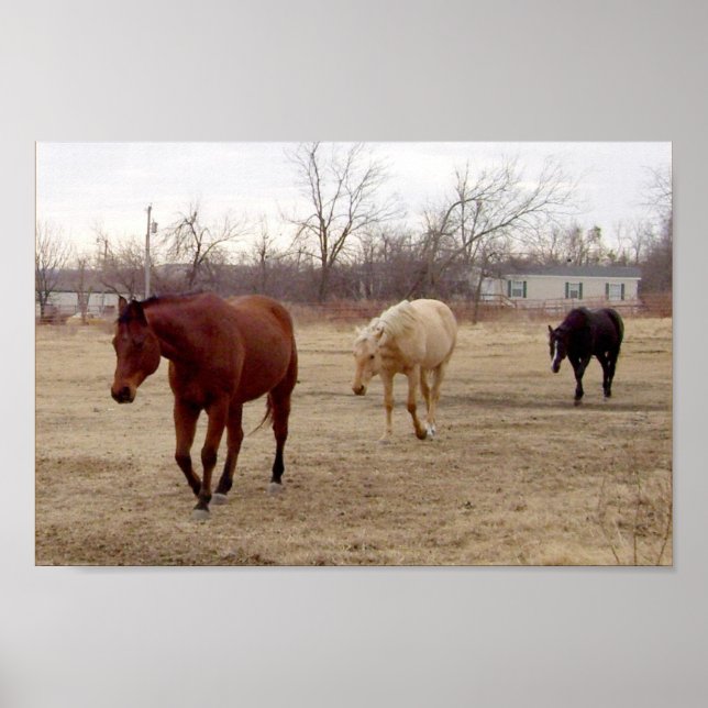 Póster Equine Follow the Leader Poster (Frente)