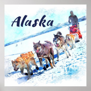 Póster Equipo (AK) del perro de trineo de Alaska A -