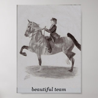 Póster equipo bello