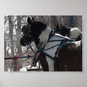 Póster Equipo de borrador de Pinto