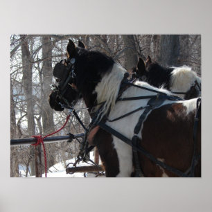 Póster Equipo de borrador de Pinto