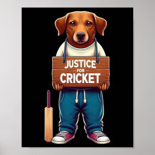 Póster Equipo de críquet 