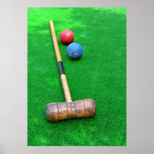 Póster Equipo de croquet sobre césped artificial