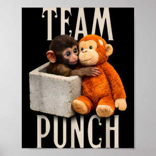 Póster Equipo de golpe de mono bebé golpea