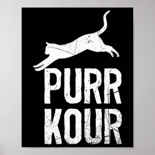 Póster Equipo de parkour para gatos divertidos saltando P