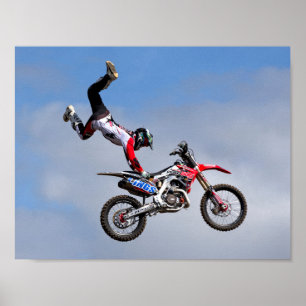 Póster Equipo de visualización FMX de Bolddog Lings