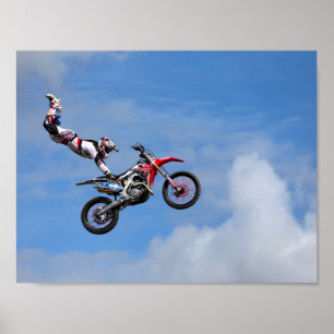 Póster Equipo de visualización FMX de Bolddog Lings