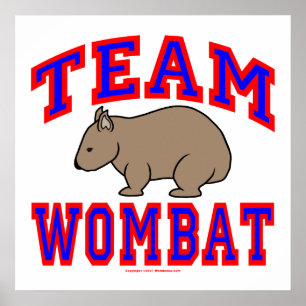Póster Equipo Wombat VI