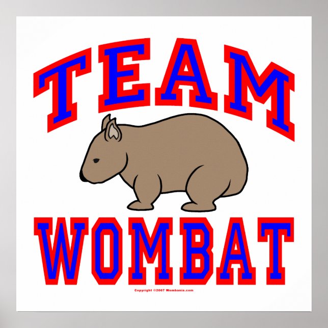 Póster Equipo Wombat VI (Frente)