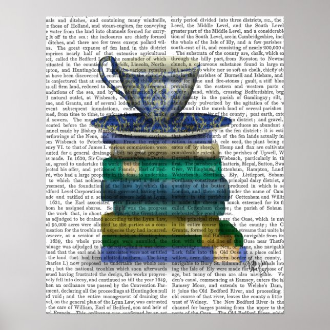 Póster Equipo y libros (Frente)