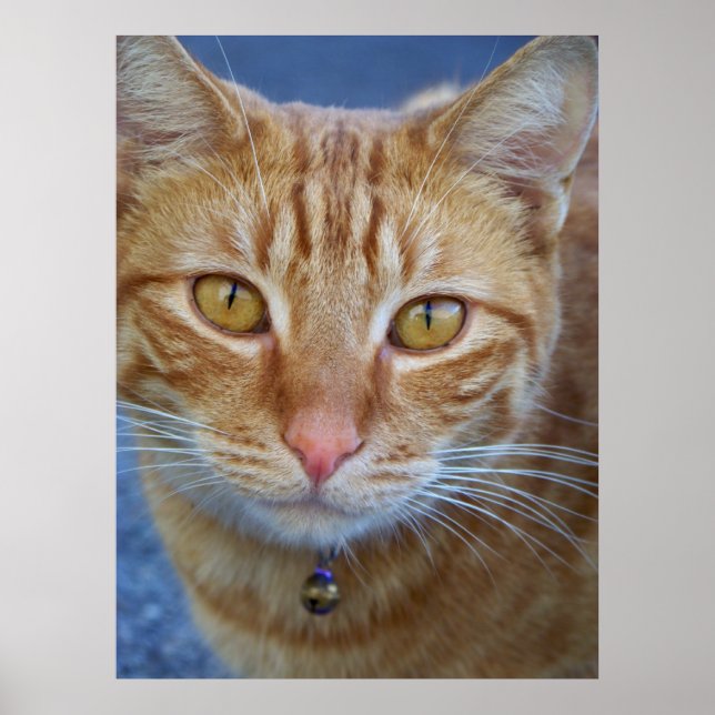 Póster Eres especial... Poster por Elenne Boothe (Frente)