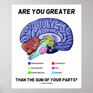 Póster ¿Eres Mayor Que La Suma De Tus Partes? Cerebro