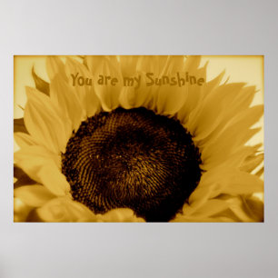 Póster Eres Mi Sol.