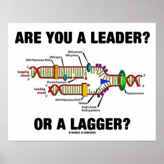 Póster ¿Eres Un Líder? ¿O Un Lagger? Humor de ADN geek